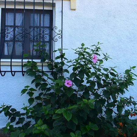 Anacasa Marineta Bot Pb2103 Dénia