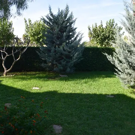 Anacasa Marineta Bot Pb2103 *