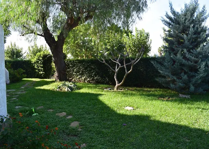 Anacasa Marineta Bot Pb2103 *