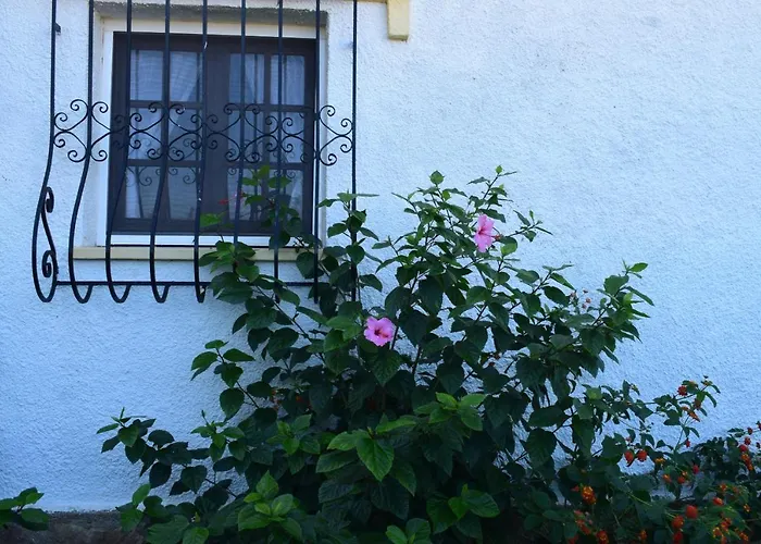 Anacasa Marineta Bot Pb2103 Denia